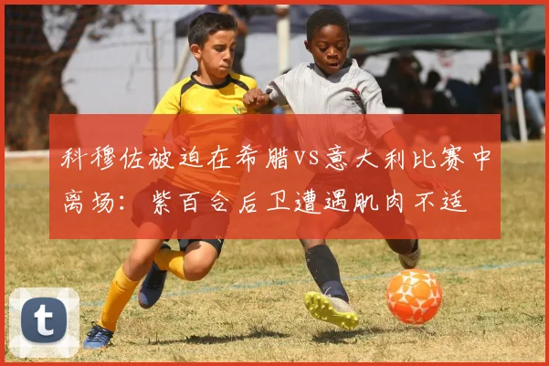 科穆佐被迫在希腊vs意大利比赛中离场：紫百合后卫遭遇肌肉不适